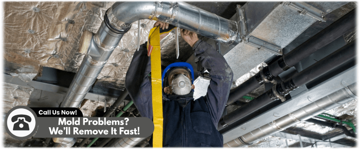 Air Duct Mold Removal in Richardson
