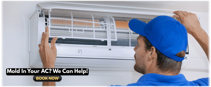 HVAC Mold Removal Richardson